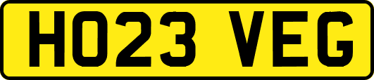 HO23VEG