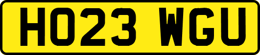 HO23WGU