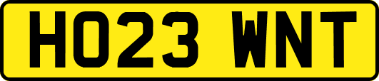 HO23WNT
