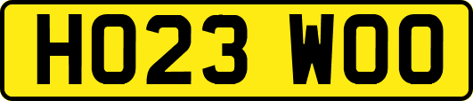 HO23WOO