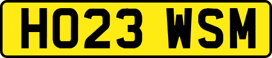 HO23WSM