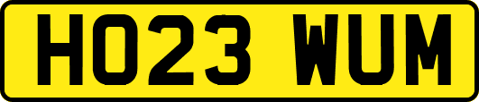 HO23WUM
