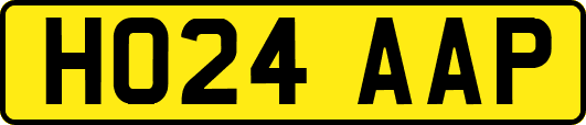 HO24AAP