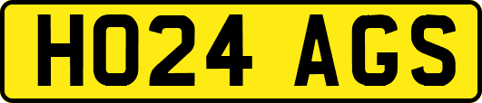 HO24AGS