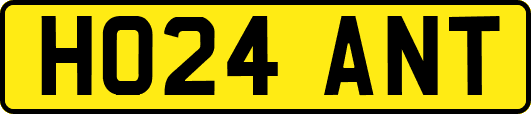 HO24ANT
