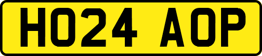 HO24AOP