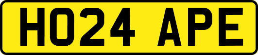 HO24APE