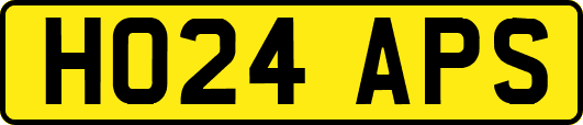 HO24APS