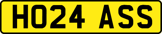 HO24ASS