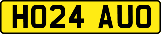 HO24AUO