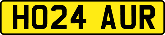 HO24AUR