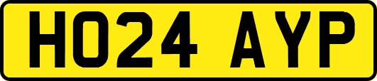 HO24AYP
