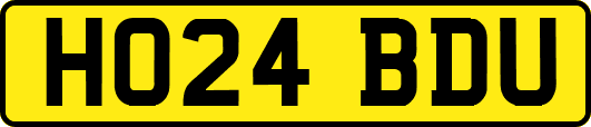 HO24BDU