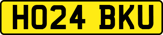 HO24BKU