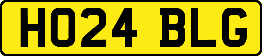 HO24BLG