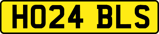 HO24BLS