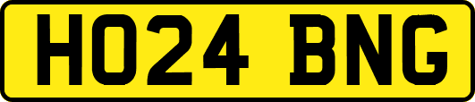 HO24BNG