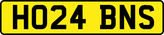 HO24BNS