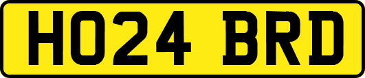 HO24BRD