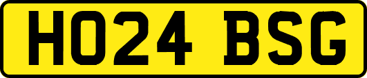 HO24BSG