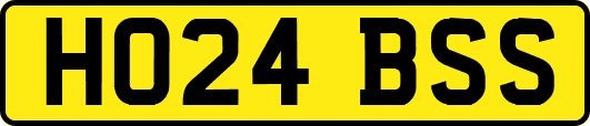 HO24BSS