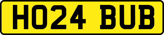 HO24BUB