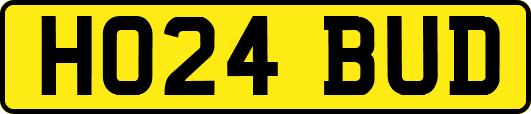 HO24BUD
