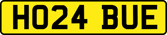HO24BUE