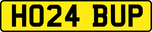 HO24BUP
