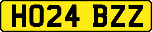 HO24BZZ