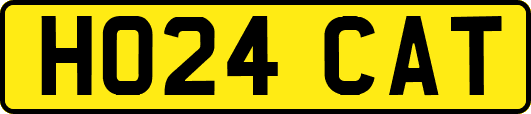 HO24CAT