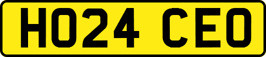 HO24CEO