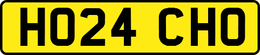 HO24CHO