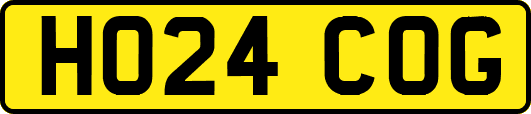 HO24COG
