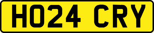 HO24CRY