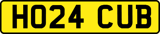 HO24CUB