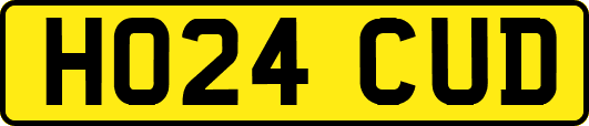 HO24CUD