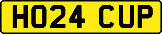 HO24CUP