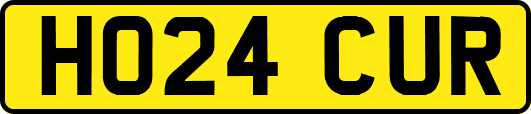 HO24CUR