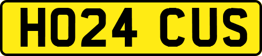 HO24CUS