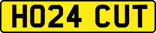 HO24CUT