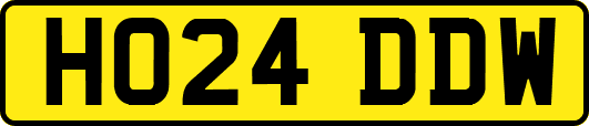 HO24DDW