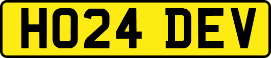 HO24DEV