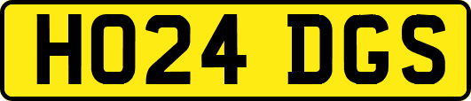 HO24DGS