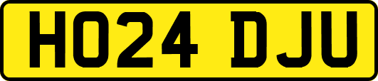 HO24DJU