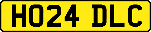 HO24DLC
