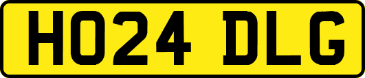 HO24DLG