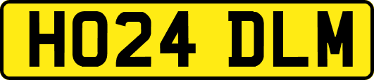 HO24DLM