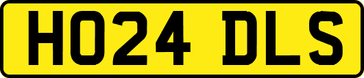 HO24DLS