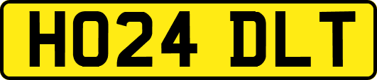 HO24DLT
